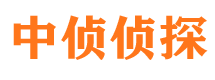 元宝外遇出轨调查取证